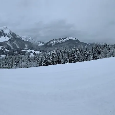 Enny's Wohlfuhlappartement Bad Goisern