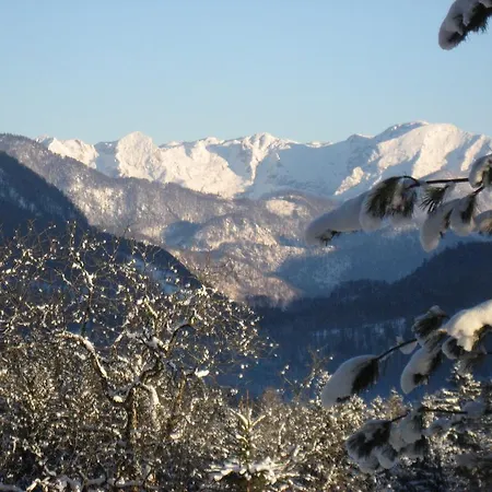 Enny's Wohlfühlappartement Bad Goisern am Hallstättersee